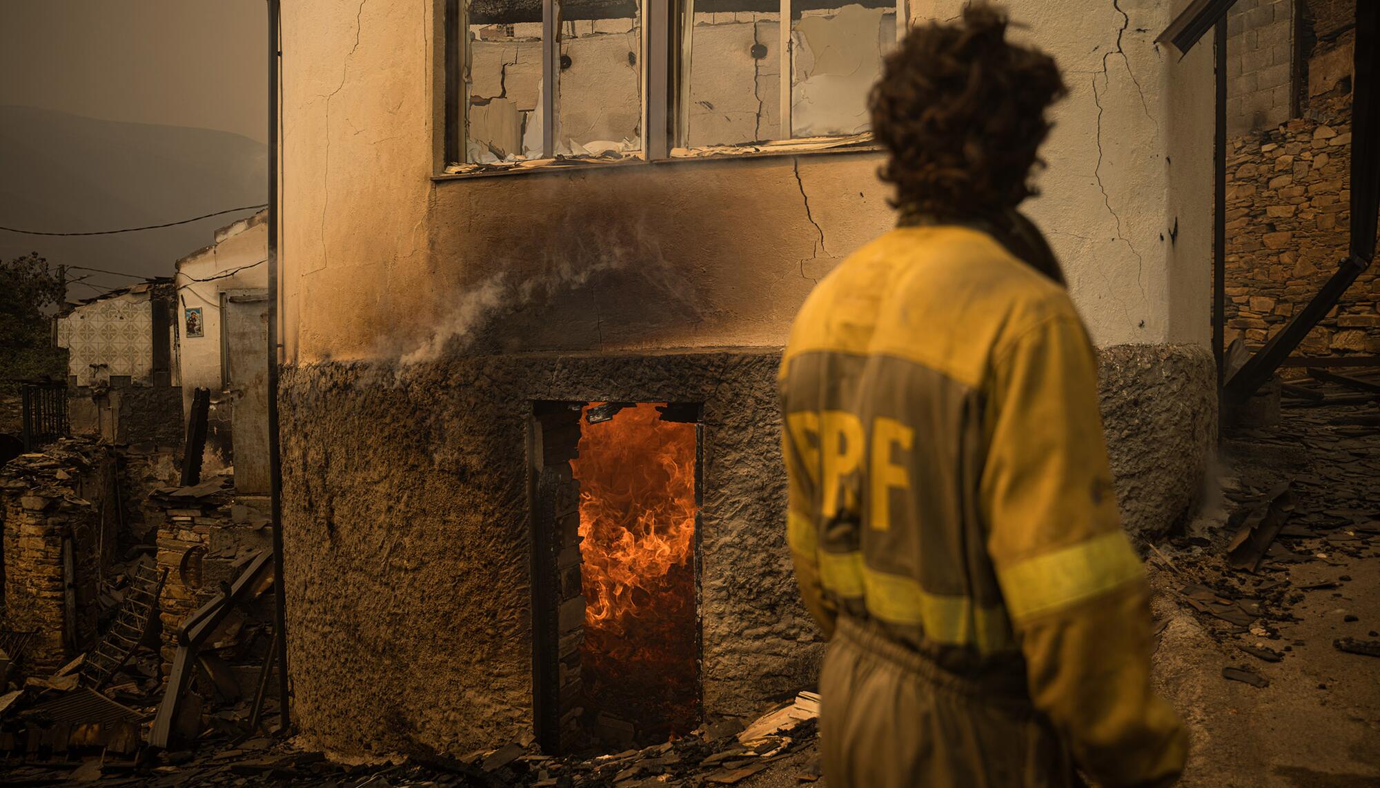 Valdeorras tras los incendios - 22